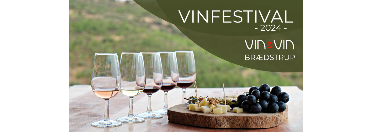 Vin & Vin Festival 2024