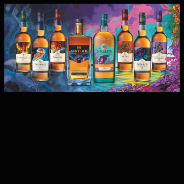 Special Release 2022