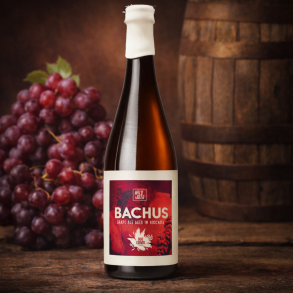 DOIS CORVOS Bachus Amphora Aged Wild Ale, alc. 7,3%, 37,5cl