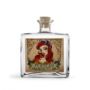 Plateau Tranquillite Gin 42,1% alc. 50 cl.