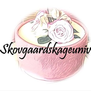 Skovgaards Kageunivers TEST